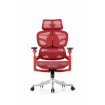 Ergonomic Chairs