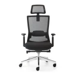 Phantom A1 Aluminum Alloy Ergonomic Office Chair - Black