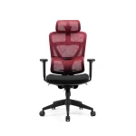 M920-A Ergonomic Office Chair
