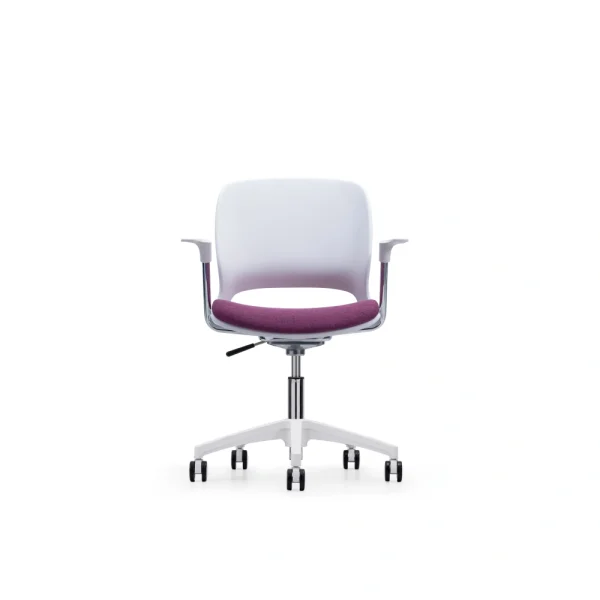 L21-5 Leisure Chairs