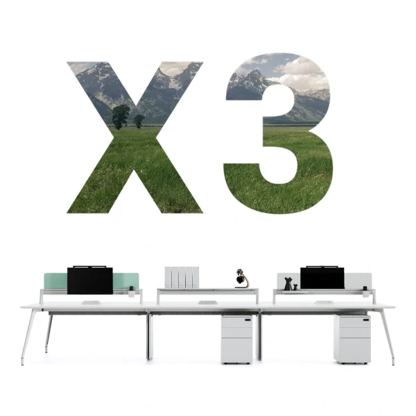 X3 Multifunctional Security Staff System