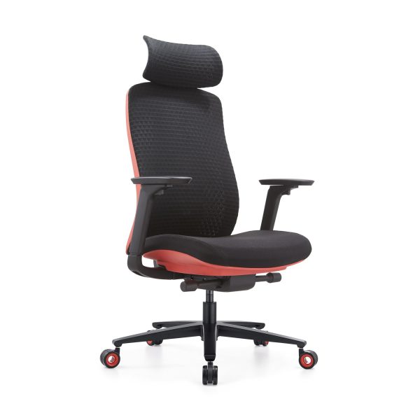 Back Adjustable Ergonomic Office Chair with 3D headrest
