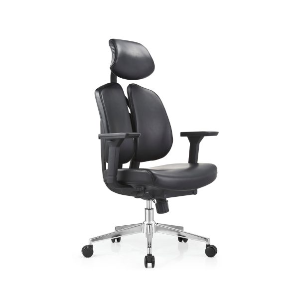 Dynamic Lumbar Support Ergonomics Chair