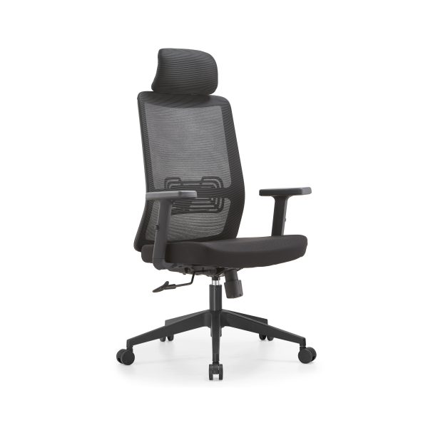 Executive Ergonomic Office Chair