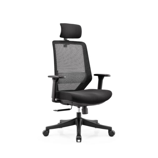 Ergonomic Office Chair with Headrest
