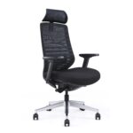 Ergonomic Mesh Office Chair With Lumbar Support
