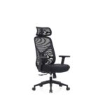 High Back Ergonomic Mesh Office Chair with 2D Arms
