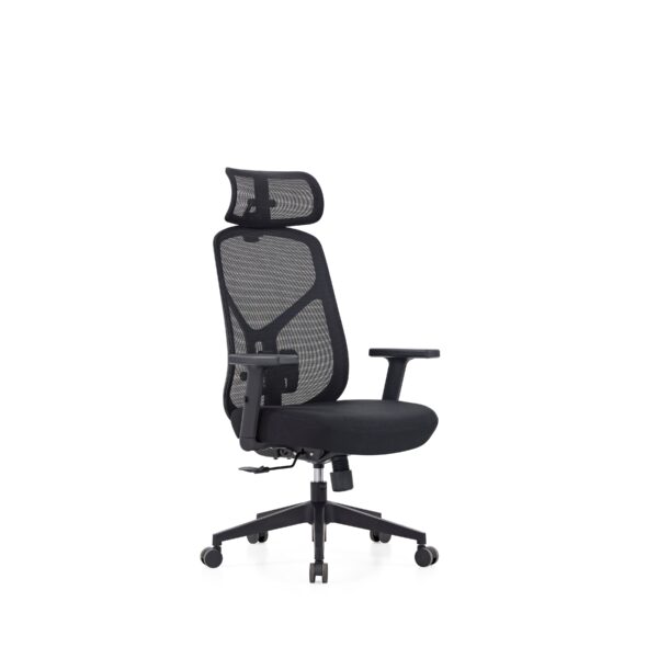 High Back Ergonomic Mesh Office Chair with 2D Arms